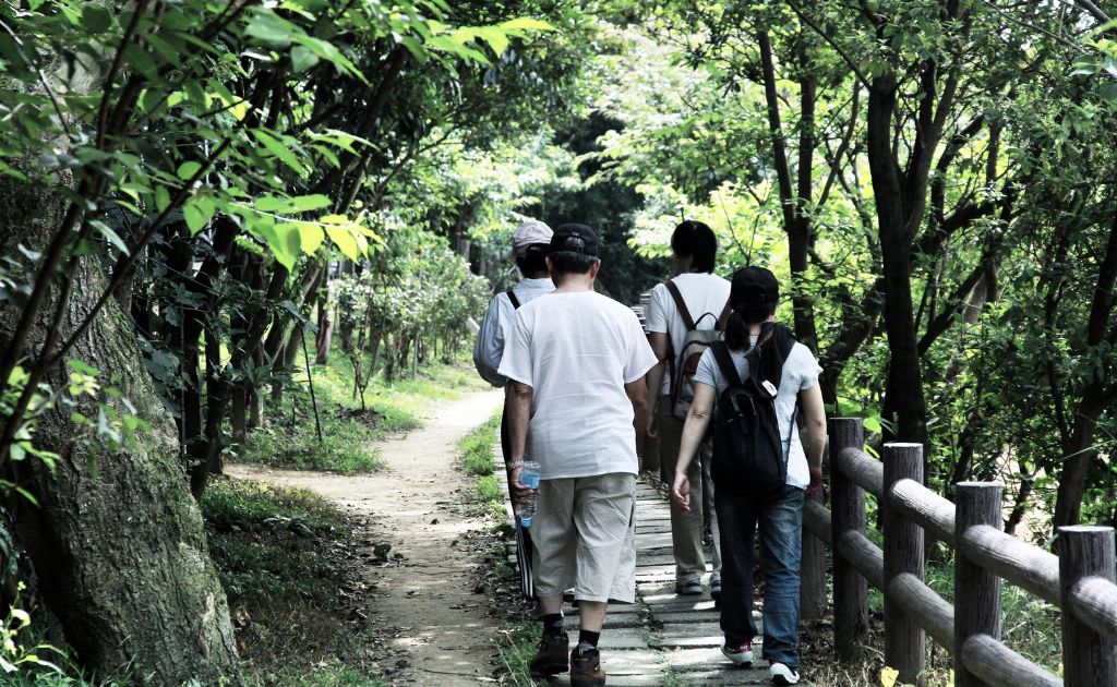 Conheça as Trilhas Ecológicas de Florianópolis mais conhecidas
