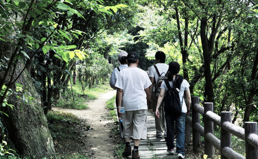 Conheça as Trilhas Ecológicas de Florianópolis mais conhecidas